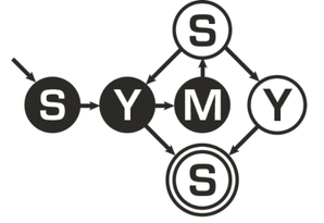 Stanford Symbolic Systems